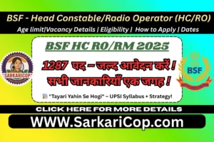 BSF HC RO RM Recruitment 2025, BSF Head Constable Vacancy 2025, BSF Radio Operator Recruitment 2025, BSF Radio Mechanic Recruitment 2025, BSF Head Constable Apply Online, BSF Recruitment 2025, BSF Latest Vacancy 2025, BSF HC RO RM Eligibility 2025, Sarkari Naukri BSF, BSF HC RO RM Notification PDF